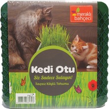 Eden Zirai Kedi Otu Yetiştirme Seti