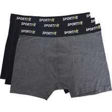 Sportive Spt Erkek Gri Günlük Stil 3'lü Boxer 24KBXR01-RNK