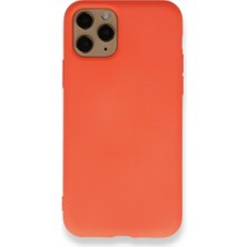 Royal Case iPhone 11 Pro Içi Kadife Kaplı Esnek Silikon Kapak Ryc/ Nano Lansman