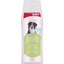 Spt-Gld Bioline Aloe Vera Özlü Köpek Şampuanı 250 ml
