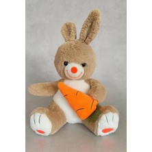 Havuçlu Tavşan Pembe 50 cm – Çocuklara Özel Sevimli Peluş