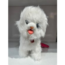 Tasmalı Dil Çıkartan Sesli Hareketli Ses Tekrarı  Yapan  Sevimli Kedi  Büyük Boy