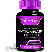 Wellnees Labs Nattokinase Supplement Capsules 5000 Fu, Third-Party Tested Nattokinase – Enzymes From Japanese Natto – Daily Wellness Support – 120 Count