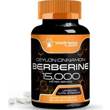 Wellnees Labs Liposomal Berberine + Ceylon Cinnamon+Turmeric + Ginseng + Ginkgo Biloba 15,000MG – 120