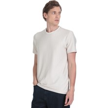 Hatemoğlu Taş Regular Fit Çizgili Bisiklet Yaka Tişört