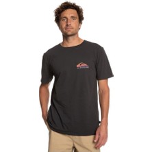 Quiksilver Pastimeparadise Tees Erkek T-Shirt