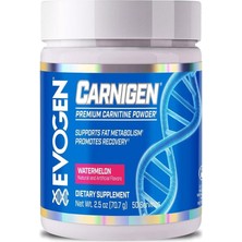 Evogen Carnigen L Carnitine  Powder 50 Servis