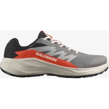 Salomon Alphaglide Gore-Tex Erkek Koşu Ayakkabısı