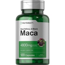 Horbaach Horbäach Maca Root Matcha 4800MG | 120 Capsules