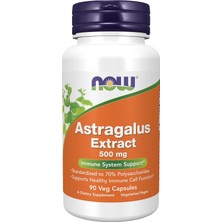 Now Foods Immune Support Supplements, Astragalus Extract 500 Mg 90 Veg Capsules
