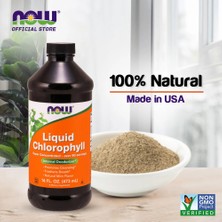 Now Foods, Liquid Chlorophyll, Mint , 16 Fl Oz (473 Ml)