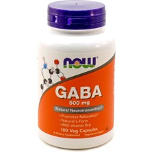 Now Foods Gaba With Vitamin B-6 500 Mg 100 Vegetarian Capsules