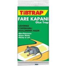 Tibtrap Zehirsiz Fare Kapanı Yapışkanı