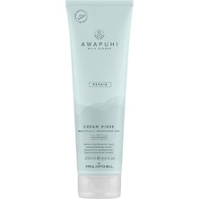 Wild Ginger Paul Mitchell Awg Repair Cream Rinse Bakim Kremi 250 ml