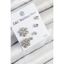 Dktt 316L Çelik Zirkon Taşlı Kar Tanesi Model Gümüş Renk Kadın Set Küpe - TJ-BKP11121