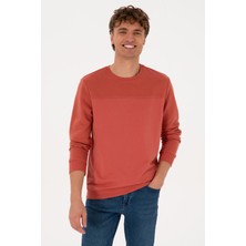 U.S. Polo Assn. Erkek Regular Fit Bisiklet Yaka Gül Kurusu İnce Sweatshirt 50315455-VR026