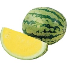 Dünyam Süper Paket 60 Adet Tohum Ithal Nadir Sarı Karpuz Tohumu