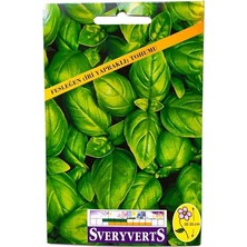 Fesleğen Iri Yapraklı Çiçeği Tohumu