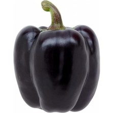 Nadir Mor Dolmalık Biber Tohumu 10 Adet Tohum