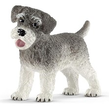 World-Minyatür Schnauzer