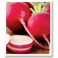 Tarım Ata Tohumu Yöresel Kırmızı Antep Turp 500 Adet Tohum