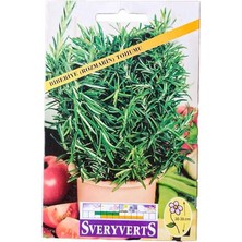 Biberiye Rozmarin Tohumu