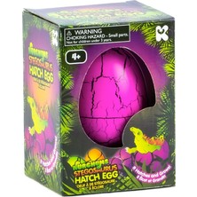 Yumurta, Hatch ve Grow Dinozor Stegosaurus (Large 11 Cm)