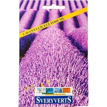 Pearl Shop Lavanta Çiçeği Tohumu