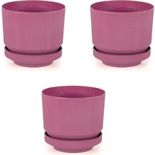 Pearl Shop Plastik Tabaklı Saksı 3 Adet Fuşya, 1,7lt