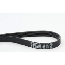 Contitech 7PK1125 Kayis 117201KT0A 8200072113 8200833550