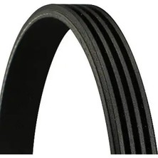 Contitech 4PK785 Kayis 119204A00B 119204A00C 31110P1KE01