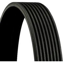 Contitech 8PK1538 Kayis 20430611 22275091