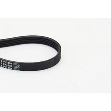 Contitech 5PK884 Kayis 1004989 1017591 1087286