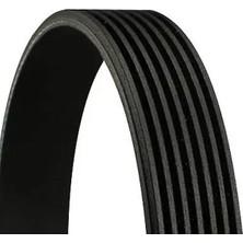 Contitech 7PK1675 Kayis 1172000Q5K 117206430R 119204796R