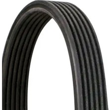 Contitech 6DPK1697 (6PK1697) Kayis 11287800341 11288506993 11288512068