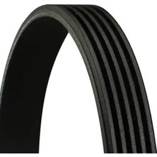 Contitech 5PK847 Kayis 1370971 1371653 1563257