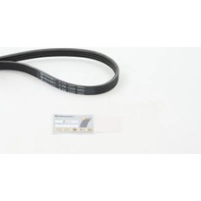 Contitech 4PK1237 Kayis 059260849B 7700869686 9091602644