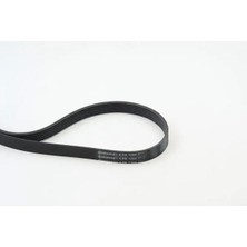 Contitech 6PK1244 Kayis 1340008 1612162980 1682006