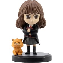 Pearl Shop Potter Hero Box Figür Harmione Granger Pattenrond