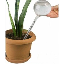 Pearl Shop Suluğu Çiçeklerinize Can Suyudur 3 Adet Çiçeklerin Ömrünü Uzatan Her Çiçeklere Otomatik Suluk