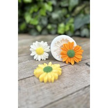 Pearl Shop Concept Papatya Çiçek Mum Kalıbı (Silikon)