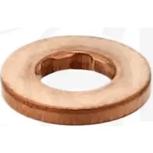 Elring 456810 Enjektor Contasi 1700379 198194 31321711 (4 Adet Fiyatıdır)