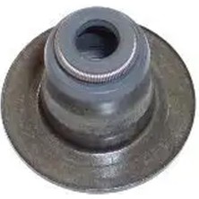Elring 574330 Supap Lastigi 2222427000 2222427900 4805320