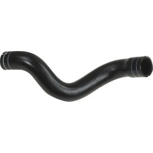 Rapro R11395 Radyator Hortumu Alt 51805813