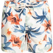 Quiksilver Everyday Garden Path Volley 15 Erkek Beyaz Volley Short