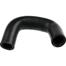Rapro R15302 Devirdaim Hortumu 11537805997 1317N7