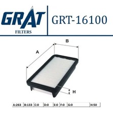 Grat 16100 Hava Filtresi 281131G100