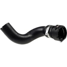 Rapro R11199 Radyator Hortumu Alt 51786264