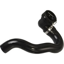 Rapro R11543 Radyator Hortumu Ust 51814118