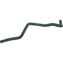 Rapro R27137 Yedek Su Deposu Hortumu 6001548892